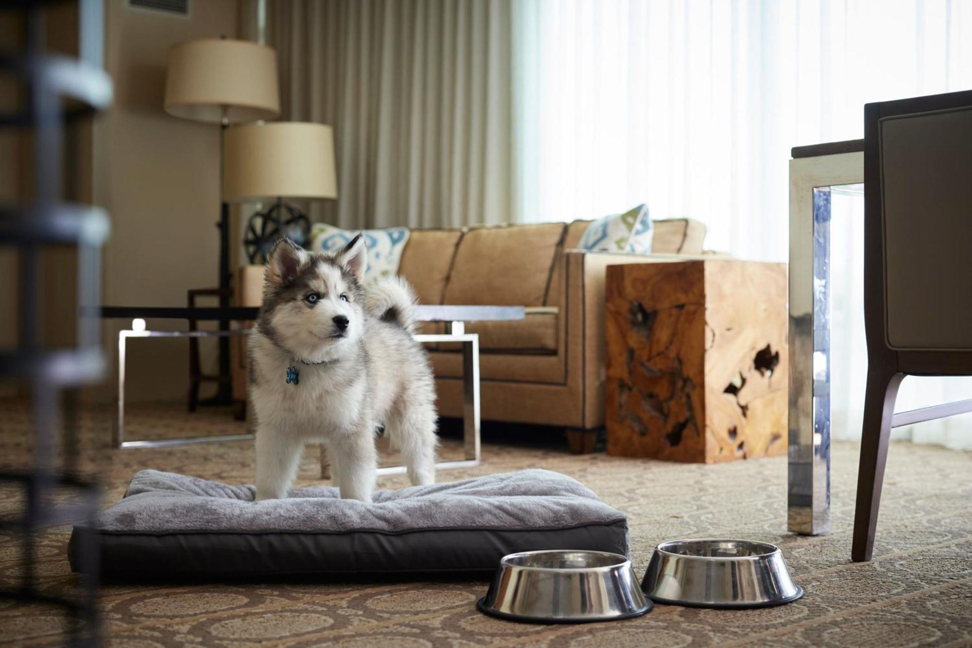 Denver Marriott Westminster Eksteriør bilde